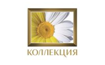 КОЛЛЕКЦИЯ КОЛЛЕКЦИЯ